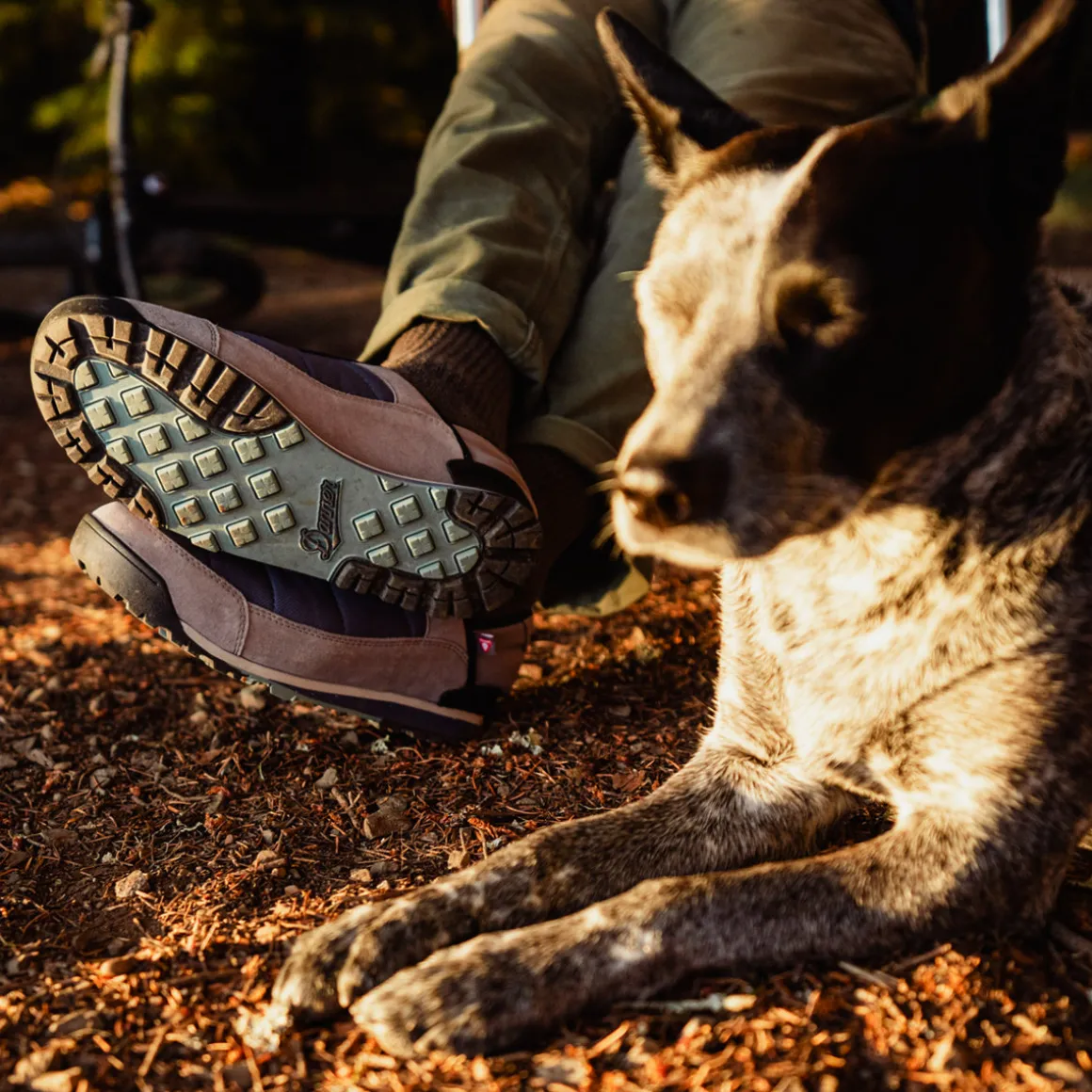 Shop Danner Jag Loft SteelGray