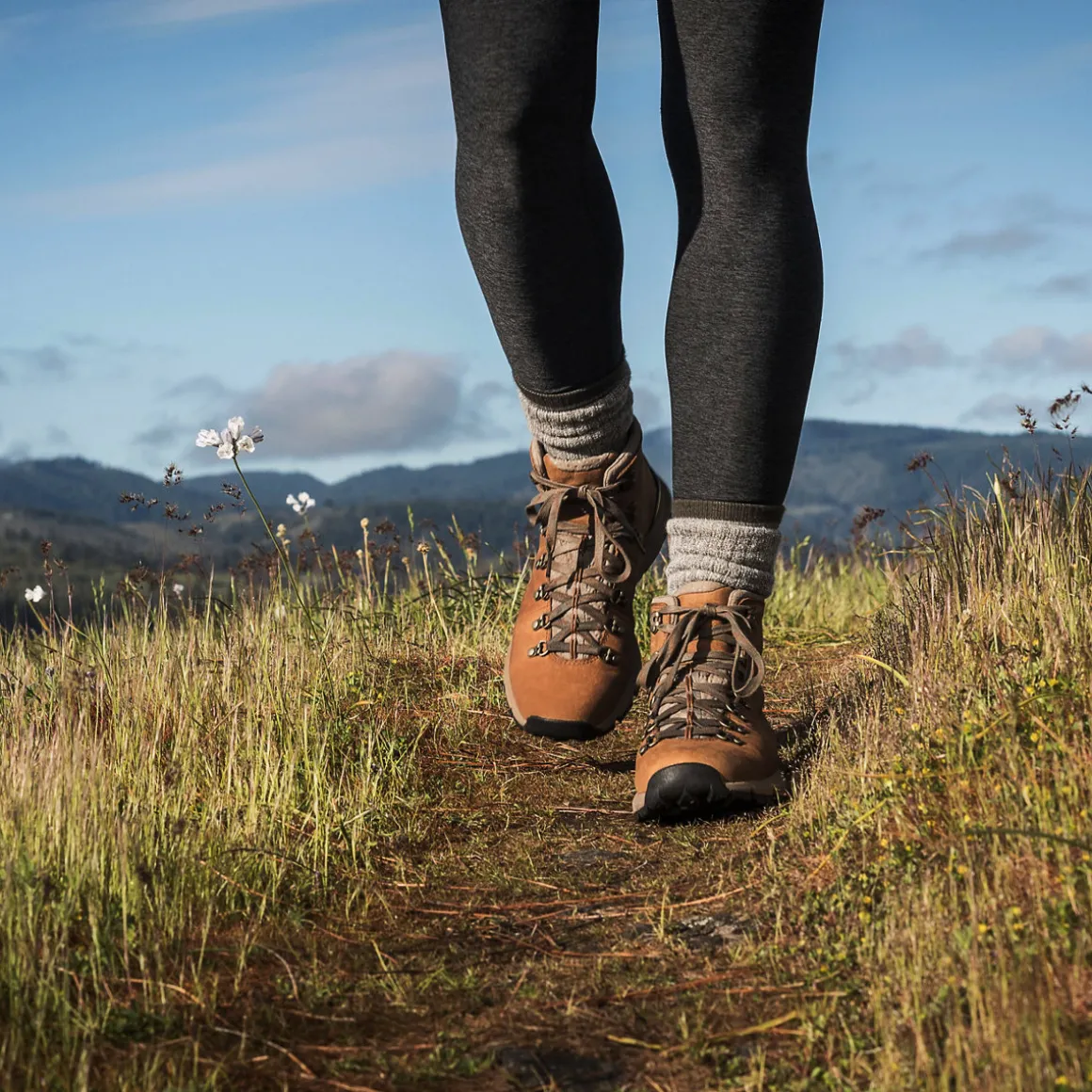 Shop Danner Mountain 600 RichBrown