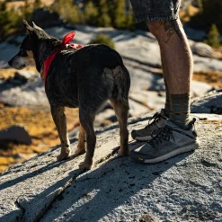 Store Danner Trail 2650 Charcoal/GoblinBlue