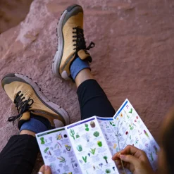 New Danner Trail 2650 GTX PrairieSand/Gray